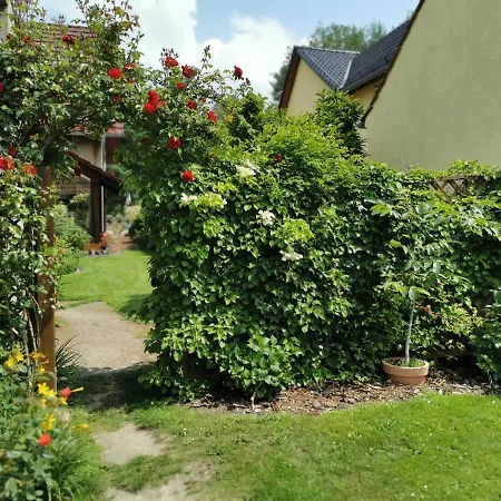 Big Mama_s * Tschernitz